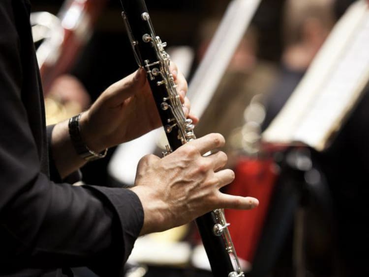Person playing the bassoon