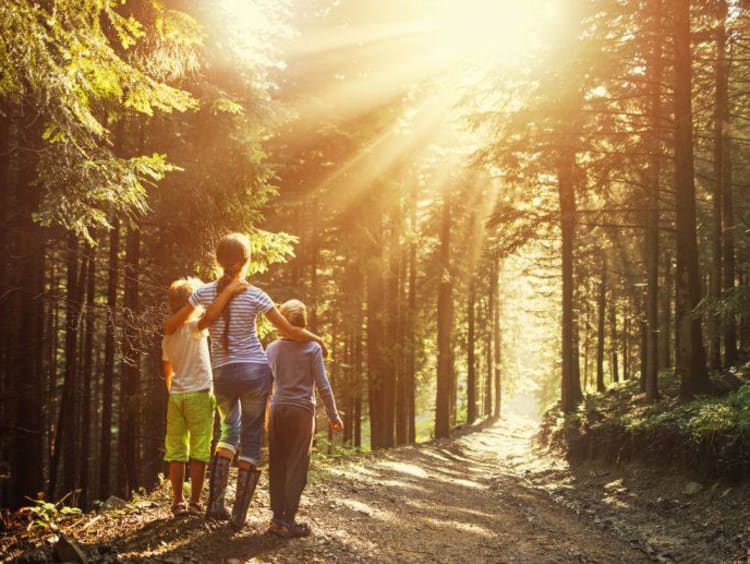 Mom and two kids look towards the sunlight on a hiking trail