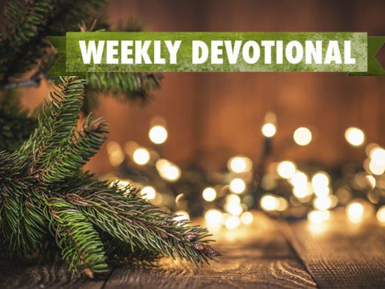 Weekly Devotional: Christmas lights and evergreen branches