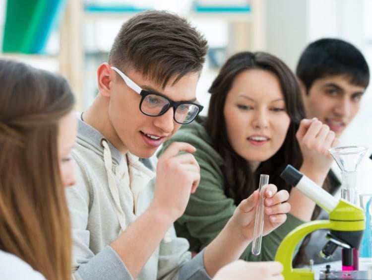 students working in lab