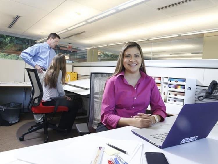 Employee working in cubical
