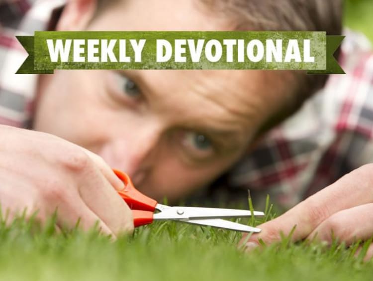 A man carefully cutting blades of grass with scissors