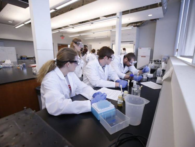 scientists working in a lab
