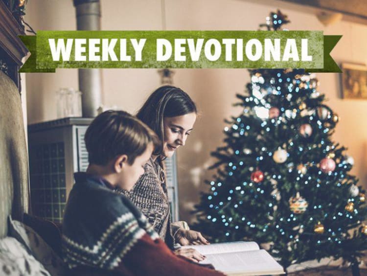 mother and son reading book by Christmas tree