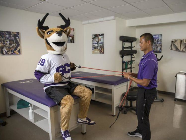 GCU mascot Thunder doing strength conditioning