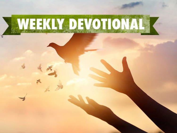 Weekly Devotional, Hands throwing up dove