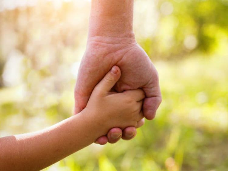 Adult hand holds child's hand with green foliage in background