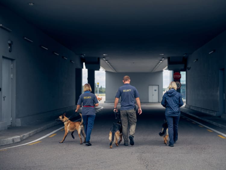 Three security guards with dogs