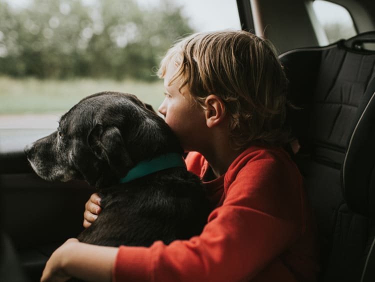 Little boy in a red shirt holding his dog in the car and both are looking out the window