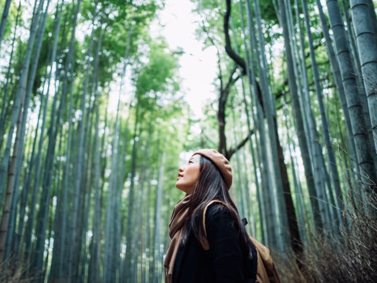 Woman taking in the beauty of God's creation in the forest