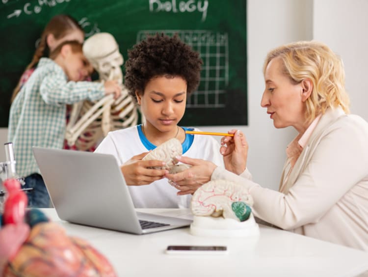 Biology teacher explains the functions of the brain to student