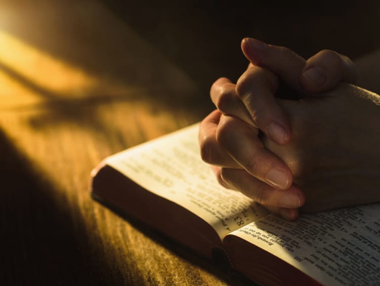 A woman in prayer with a Bible