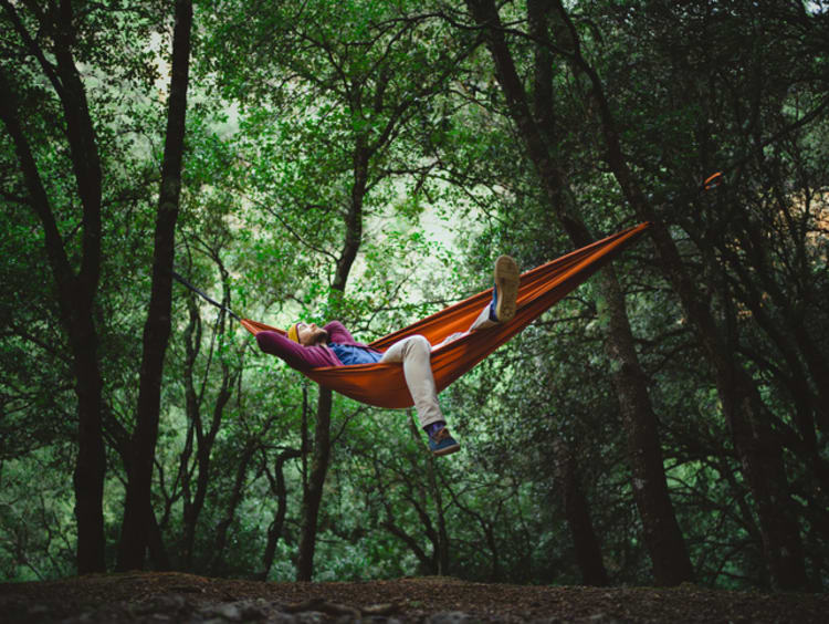 Young male rests on a hammock in the middle of the forest - stock photo