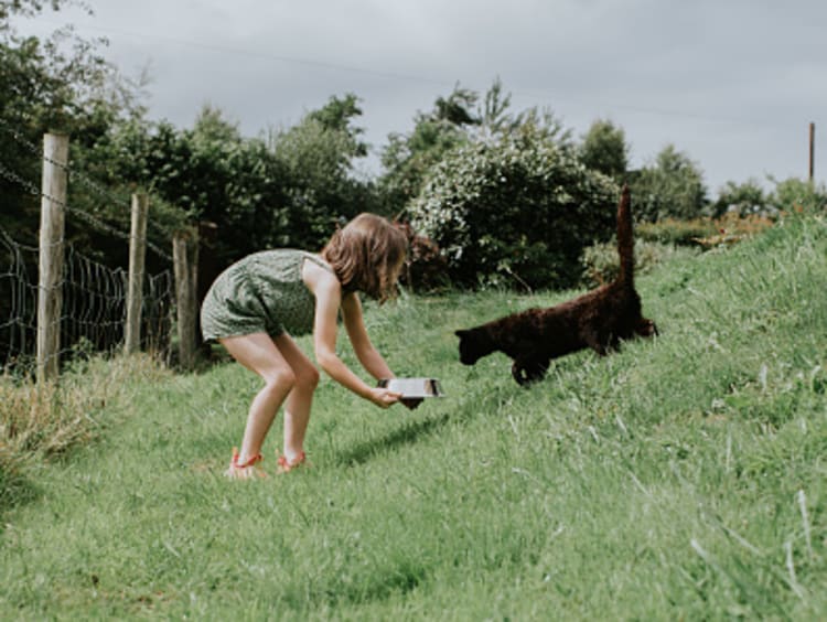 A girl feeding a stray kitten.