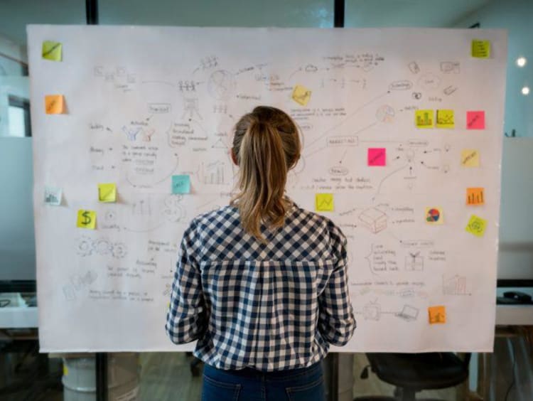 entrepreneur looking at white board