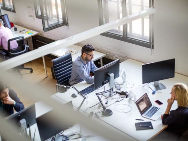 Employees working in cubicles