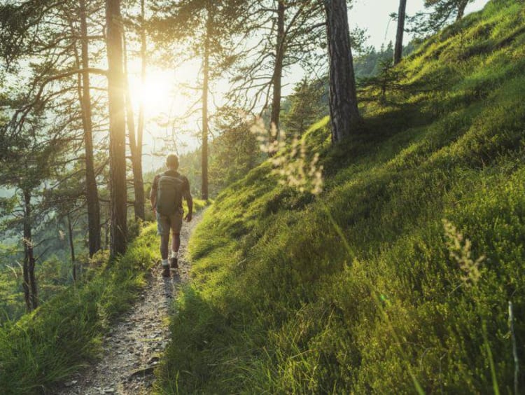 person hiking and sun shining