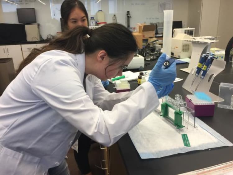 Canyon Neuroscience Center student working in the lab