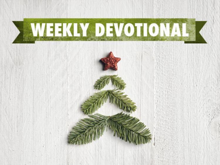 Weekly Devotional: Christmas tree stock image