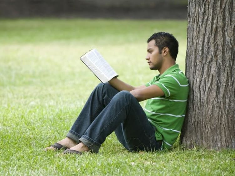 A man reading at the base of a tree.