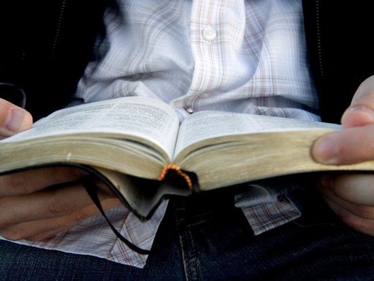 person reading bible