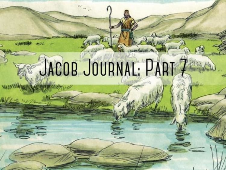 sheapard and sheep with "jacob journal part 7" over it