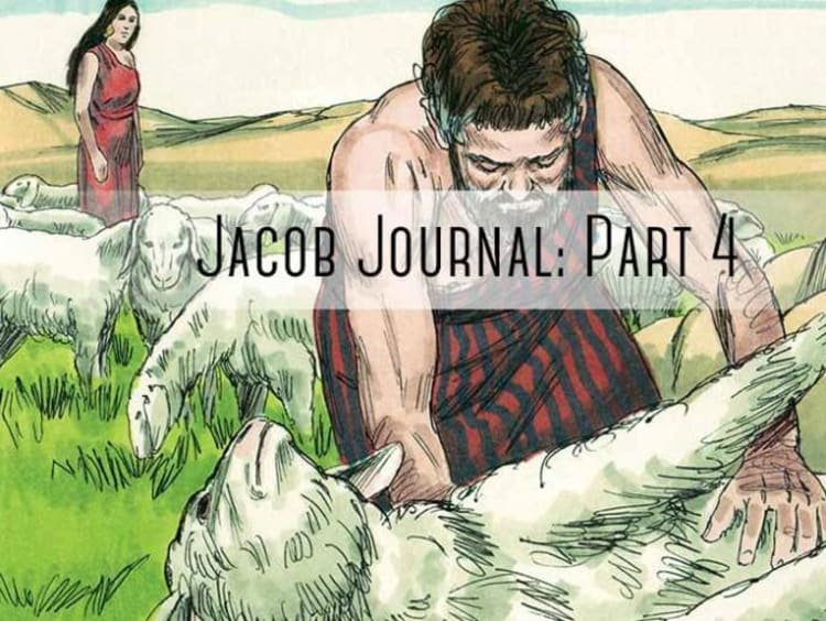sheapard helping sheep with "jacob journal part 4" 