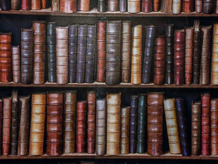 Shelf of antique books