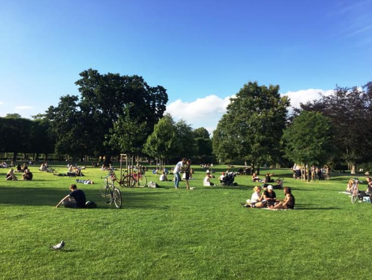 blue skies and park