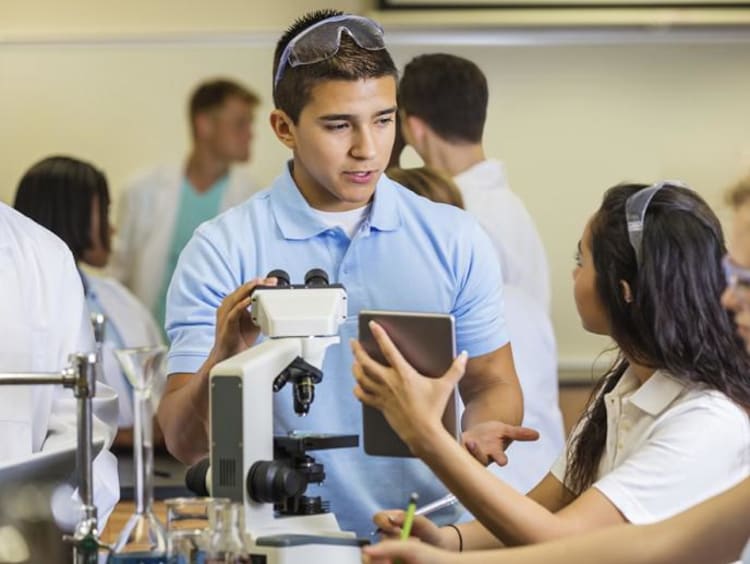 students working in lab