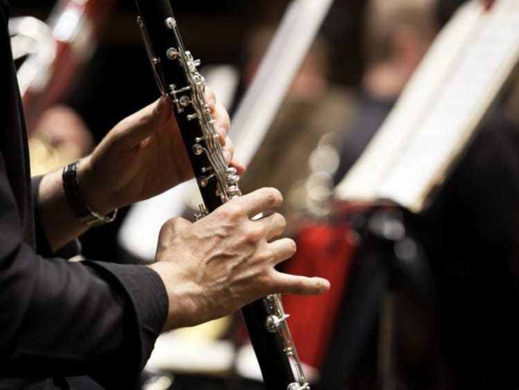 Person playing the bassoon