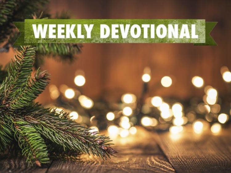 Weekly Devotional: Christmas lights and evergreen branches