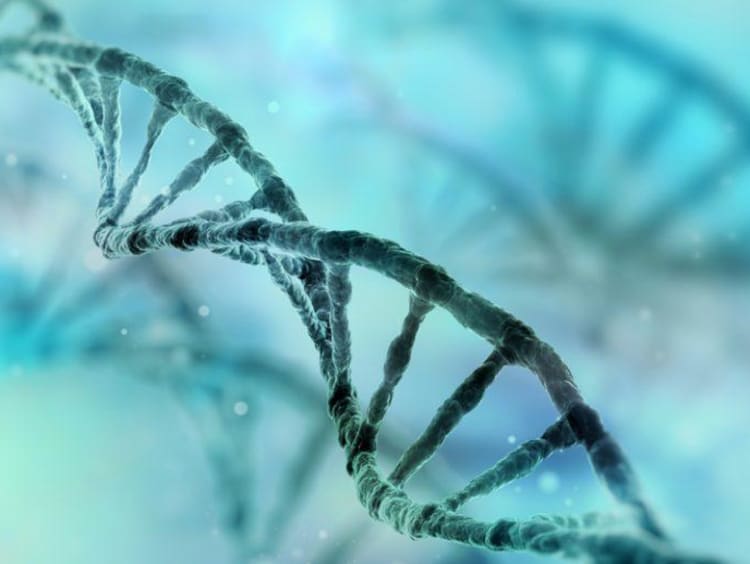 DNA diagram