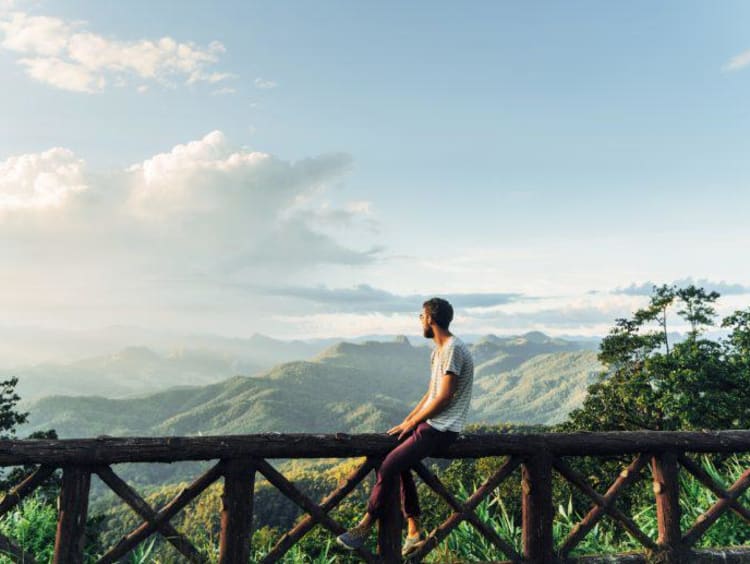 A person sitting on a railing looking out at the trees