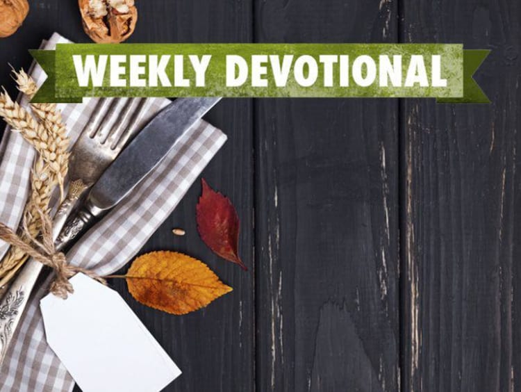 Weekly Devotional: Picnic table background