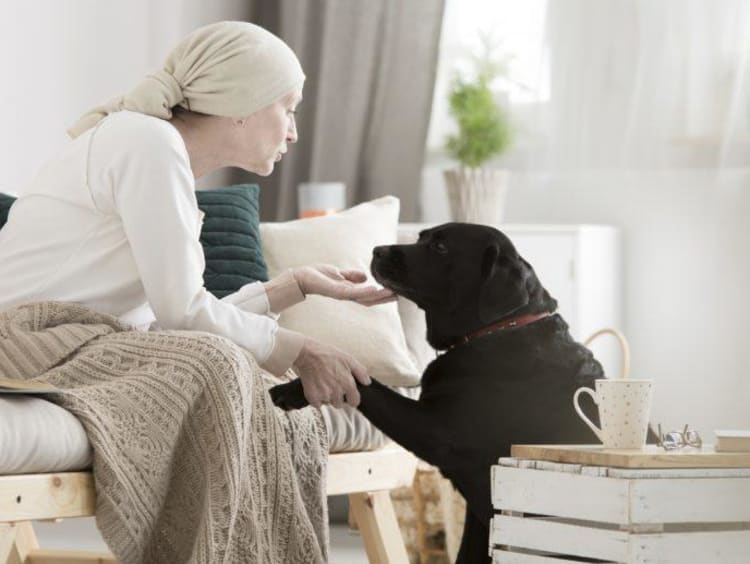 Woman interacting with a dog during a therapy session