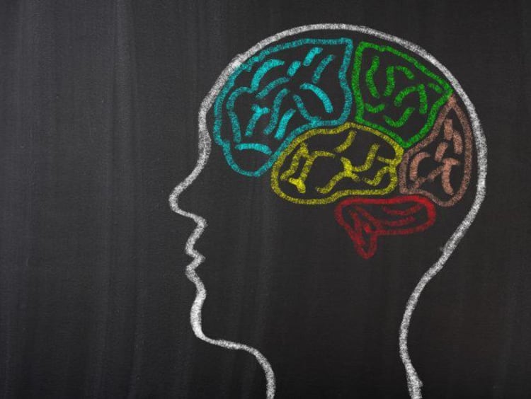 White outline of a head on a black board with different colored chalk outlines for the brain lobes