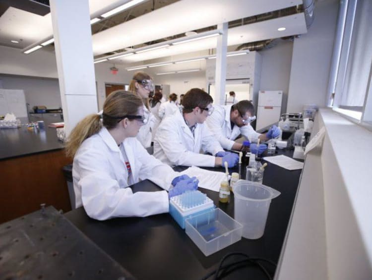 scientists working in a lab