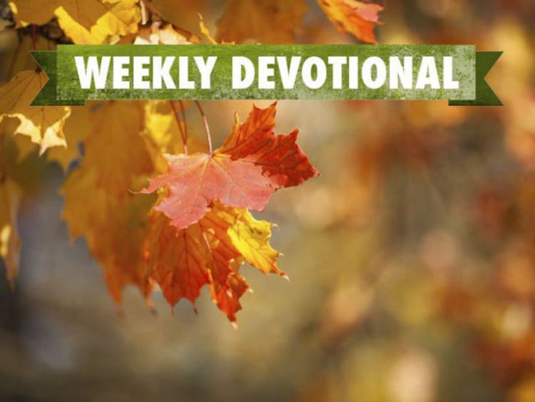 Weekly devotional text on top of red and yellow autumn leaves background