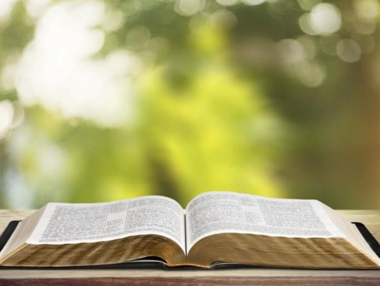 A Bible open on a sunlit table