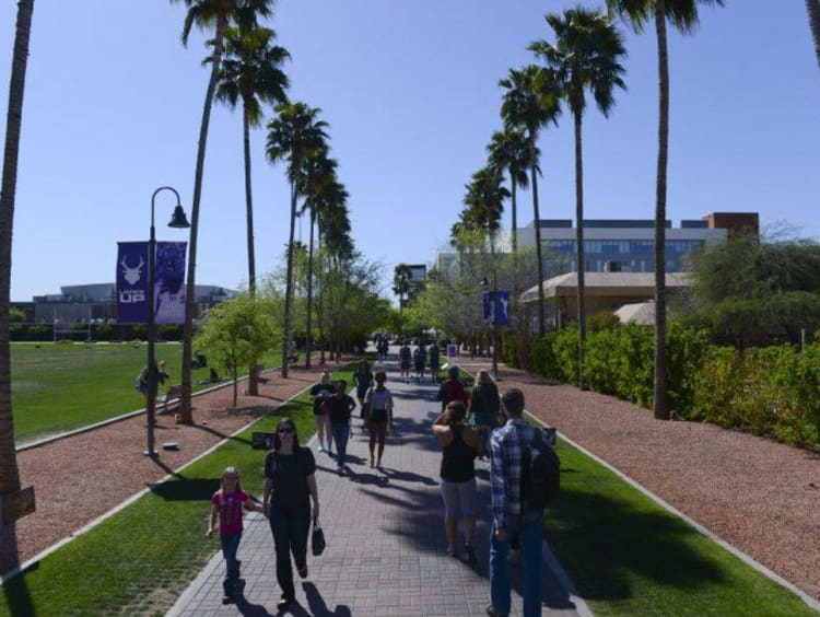 GCU's main promenade and palm trees