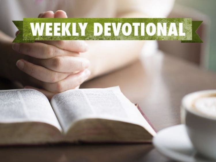 Weekly Devotional: Someone at a coffee shop reading the bible