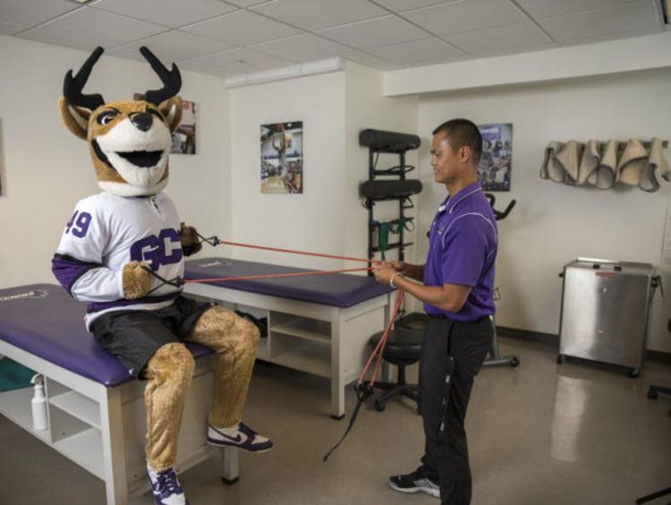 GCU mascot Thunder doing strength conditioning