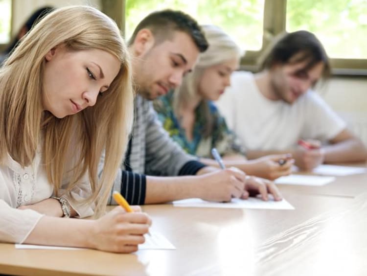 people studying at a table