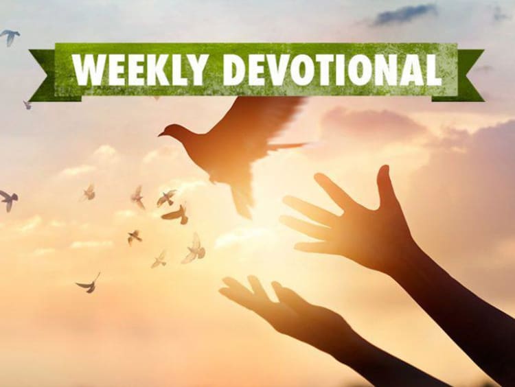 Weekly Devotional, Hands throwing up dove