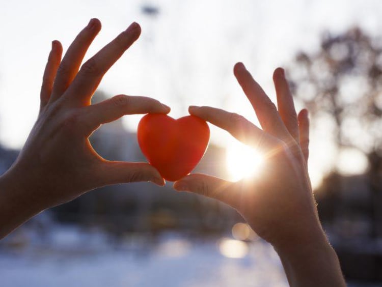 person holding up a heart