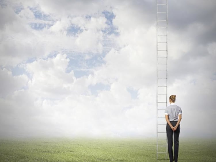 person standing in field looking at a ladder