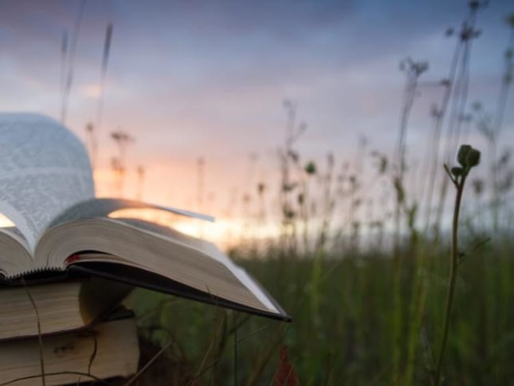 A stack of books sitting outside at sunset