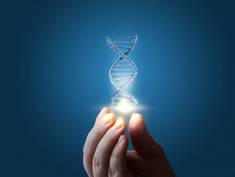 Person holding visualized DNA 