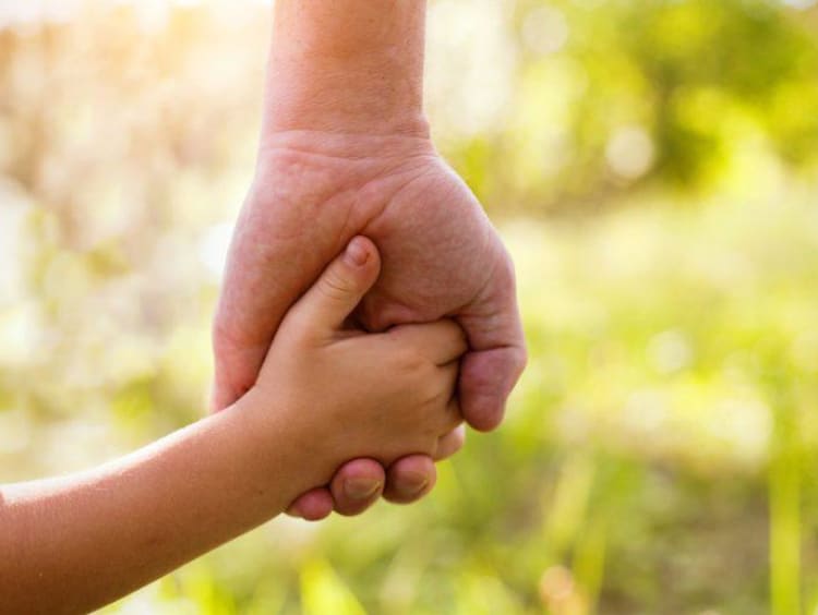 Adult hand holds child's hand with green foliage in background